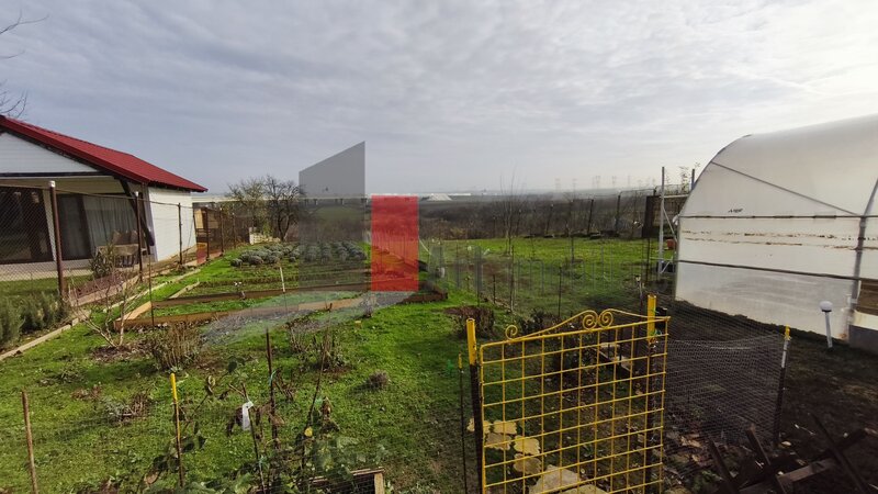 Manolache, casa curte cu teren 1600 mp.