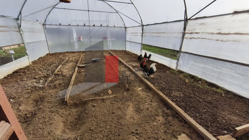 Manolache, casa curte cu teren 1600 mp.